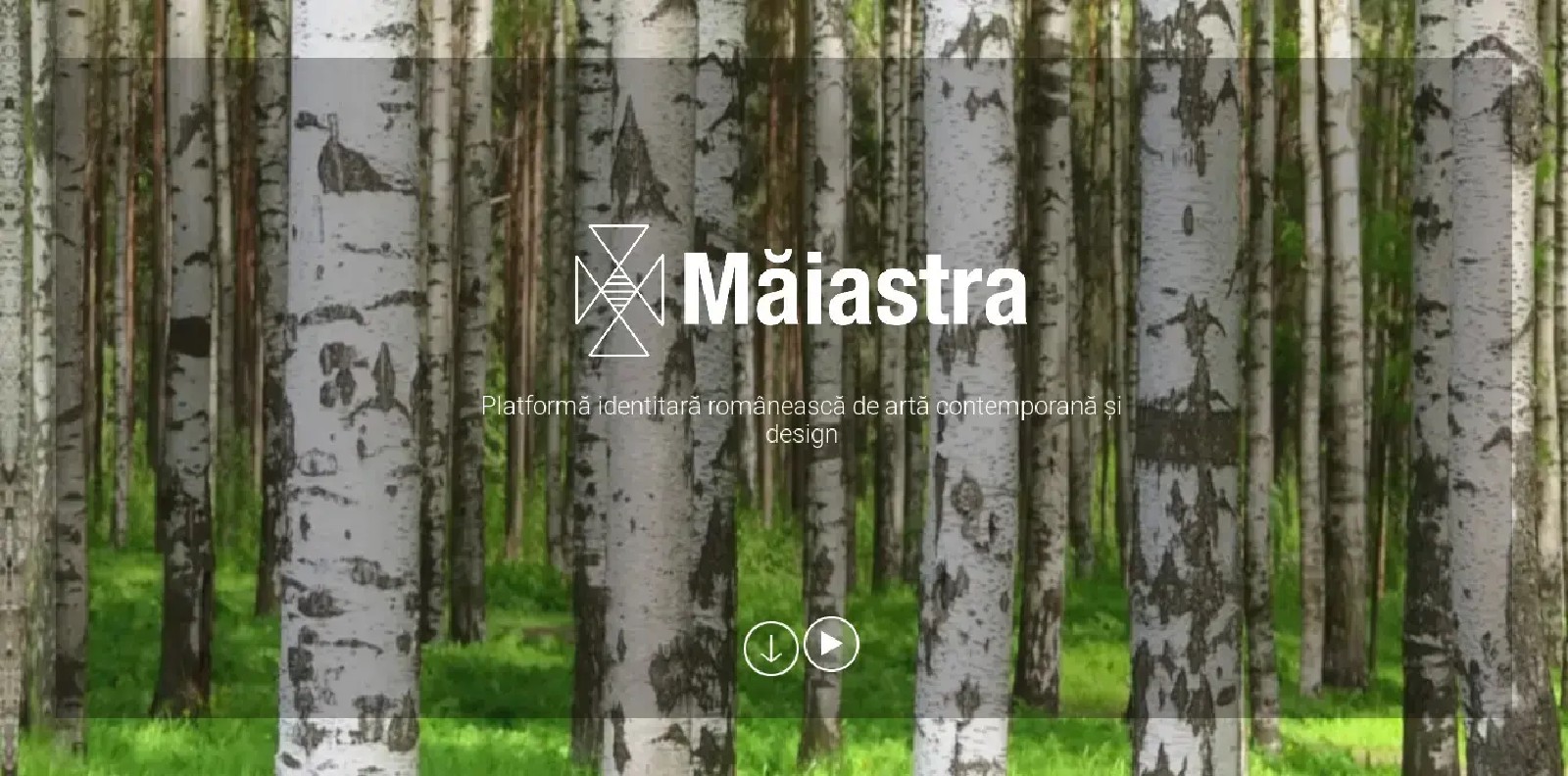 Platforma culturala - Maiastra – full 1