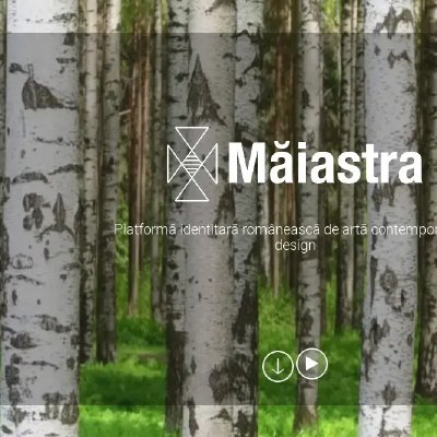 Platforma culturala - Maiastra – 1