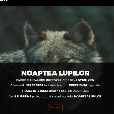 Noaptealupilor.ro - Cursuri de supraviețuire – 1