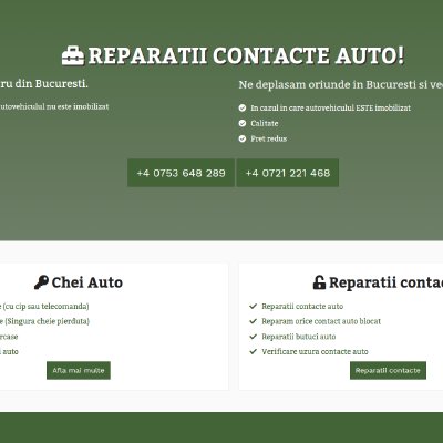 reparatiicontacteauto.ro - reparatii contacte auto – 1